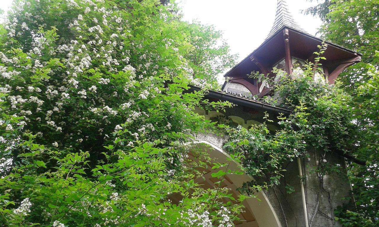Hofbauer Vila Itter Exterior foto